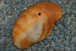 Slipper shell