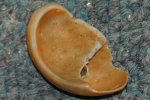 Slipper shell